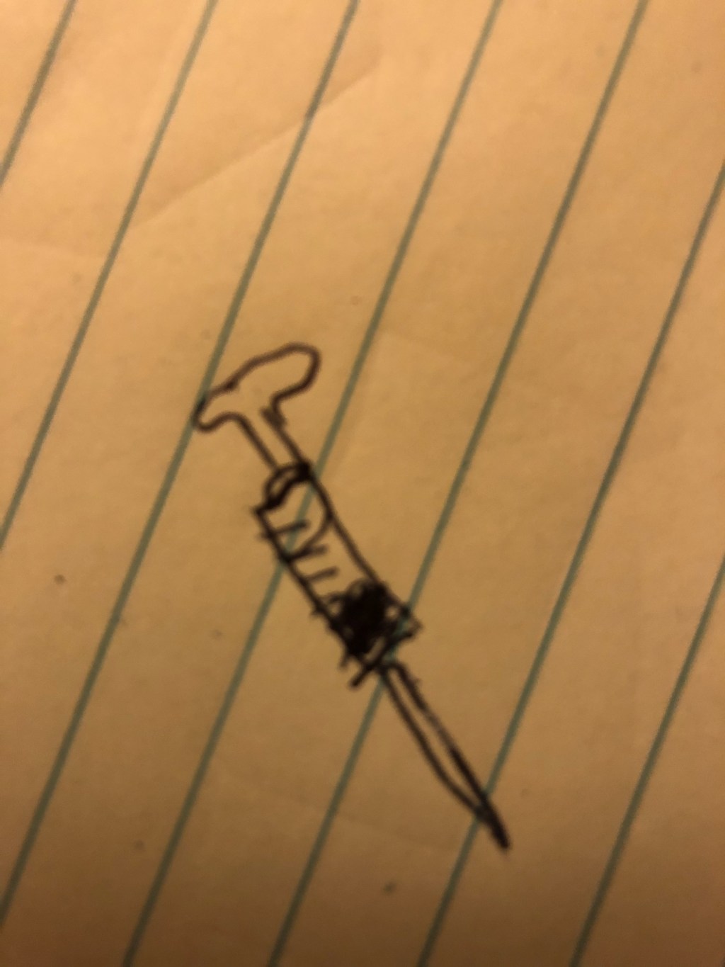 My American Privilege; Flu&nbsp;Vaccines