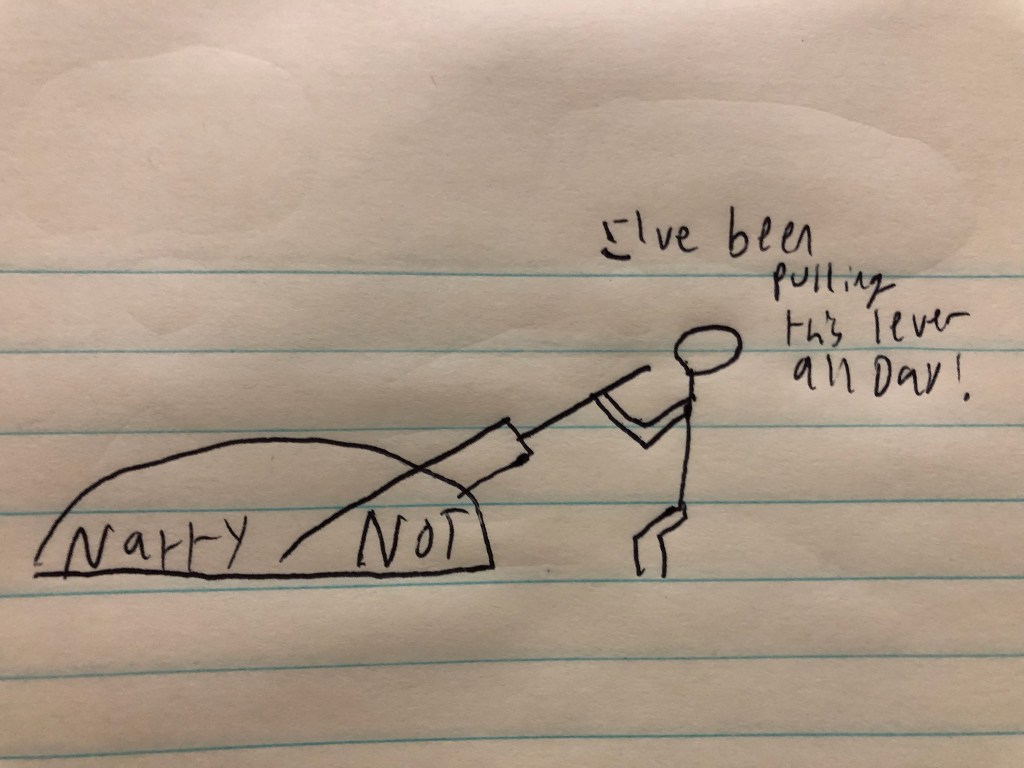 Natty or Not: The Key to An Honest&nbsp;Society